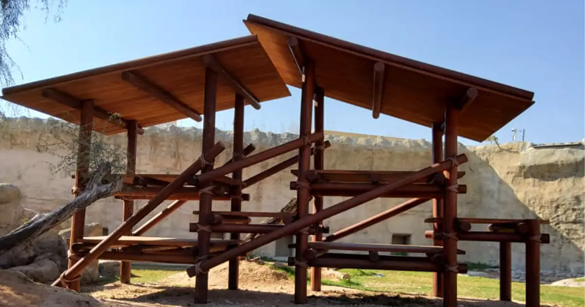 Gorilla Play Structure at Al Ain Zoo