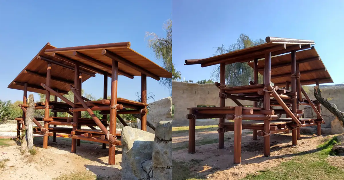 Gorilla Play Structure at Al Ain Zoo