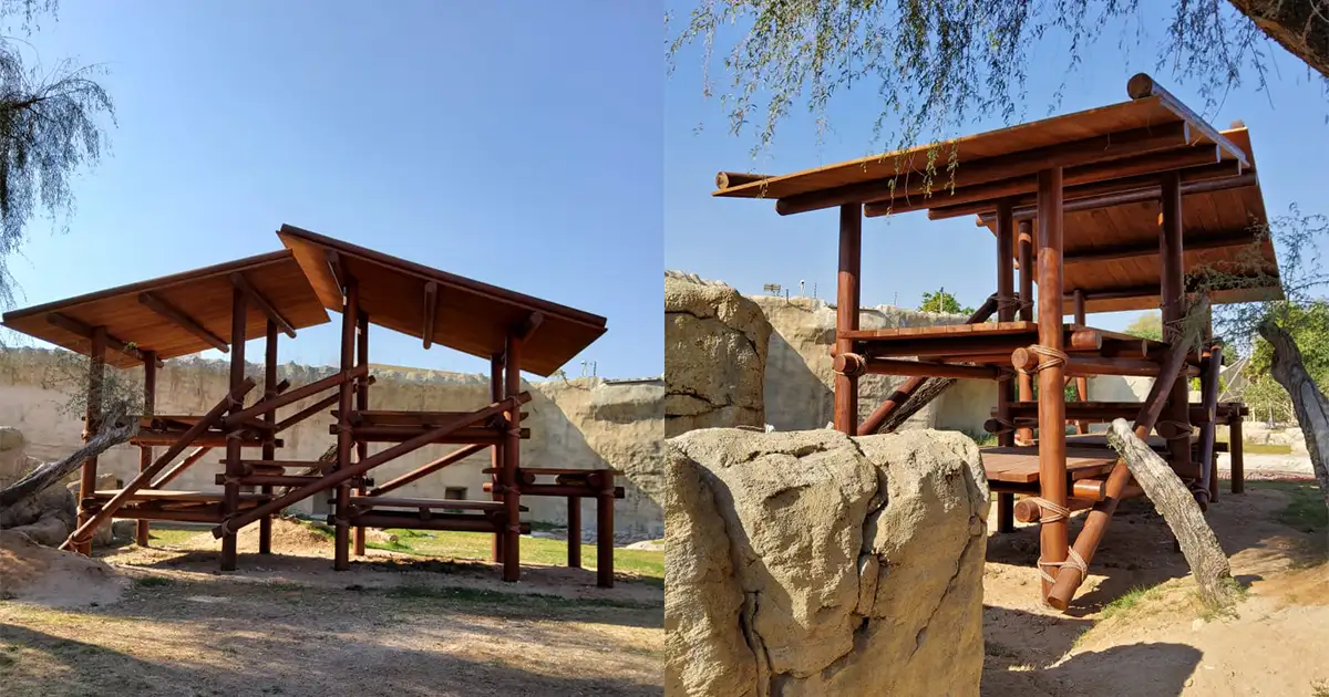 Gorilla Play Structure at Al Ain Zoo